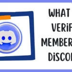 What is Verify Member in Discord